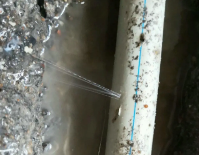 麻栗坡测漏水哪家好