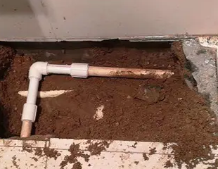 麻栗坡测漏水哪家好