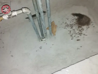 麻栗坡卫生间测漏水价格明细