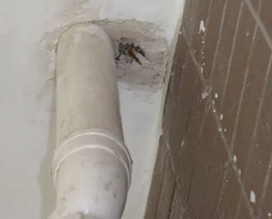 麻栗坡漏水检测哪家好